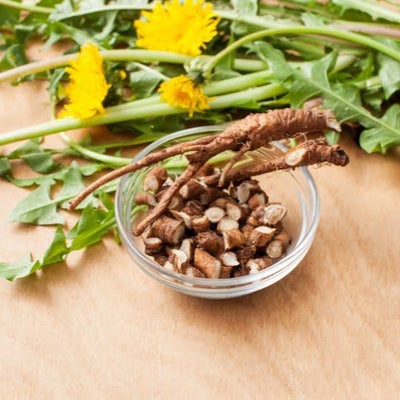 Dandelion Root :  Digestive Ease & Debloat Support